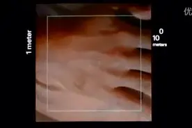 人体手背放大一千万亿倍后的震撼画面！视频封面