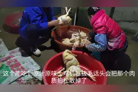 大家最关心鸡是怎么杀，全程人工拔毛宰杀，确保肉质新鲜原汁原味