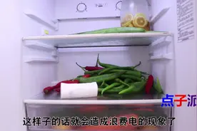 抄表师傅告诉我，冰箱里放这3样东西，轻松节省不少电费，涨知识视频封面