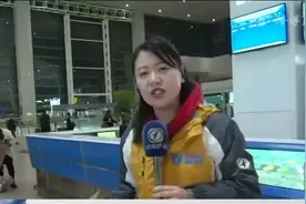 春运首日“热闹”了，旅客连夜赶路客流量大，福州火车站运行平稳视频封面