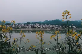 3月份自驾安徽必去的县，如今江边的油菜花开了，却没有多少游客视频封面
