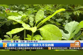 清凉！昆明迎来一场许久不见的雨视频封面