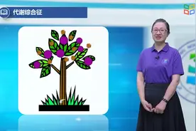 运动与代谢综合症的防治2视频封面