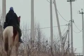 俄罗斯美女“快马加鞭”送快寄，成阿里代言人，工资数目不敢想！视频封面
