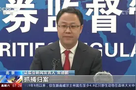 操纵8只股票获利4亿元！43人团伙落网视频封面