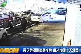 男子醉酒撒疯，连掰16辆车车牌，不料被刑拘10天视频封面