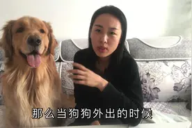 金毛多多在零下30度的地方生活，它出去玩会冷吗？你知道答案吗？视频封面