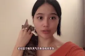美女硕士毕业后进入国企，被公司分配老挝工作，带你看看单身生活视频封面