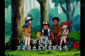 投手的菊草叶（上）视频封面