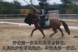 古战疑云-骑兵冲锋蒙马眼是真的吗？视频封面