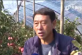 苹果树种在花盆里，一棵可接20多个，大哥费力实验带领全村致富视频封面