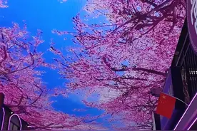 贵阳网红街中山西路地铁站天幕，四季变化。太漂亮了！视频封面