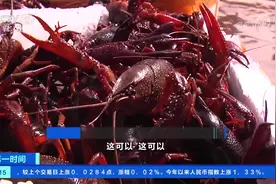 打通供应链 湖北小龙虾“蹦”上甘肃餐桌视频封面