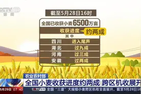 农业农村部 全国小麦收获进度约两成 跨区机收展开视频封面