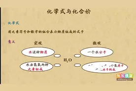 中考化学复习——化学式与化学价 复习