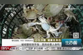 生活圈：被螃蟹钳夹到手指竟会要人命，咋回事？来听听专家的讲解