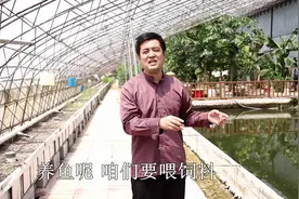 鱼菜共生真的暴利？真相是这样的，搞不清楚的朋友不要随便尝试！视频封面