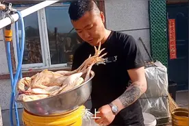 看东北农村小伙自制熏鸡，真的是太美味了，实拍整个过程！