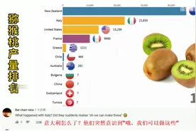 猕猴桃产量排名，油管网友评论视频封面