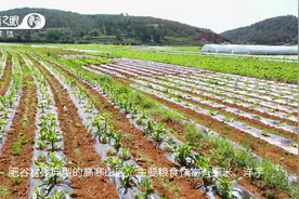 云南宣威：得禄乡肥谷村辖18个小组、14个自然村，人均耕地1.4亩视频封面