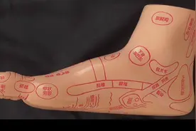 腰椎反射区强筋健骨 益肾助阳 腰背酸痛 腰椎间盘突出 腰脊强痛视频封面