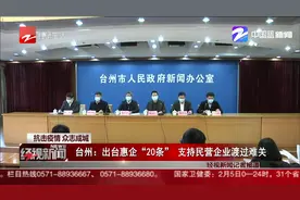 台州：出台惠企“20条” 支持民营企业渡过难关视频封面