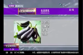 茄子的功效都有哪些？这里给你列出了4条，快来“解锁”吧