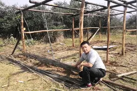 利用山里毛竹建棚，不用花成本，方法简单实用视频封面