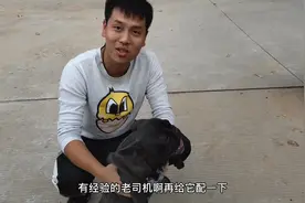 干货教程！养宠物的“教你在家识别狗狗何时走窝”，有惊喜！