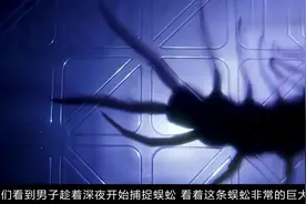 老外作死亲测蜈蚣的毒性，结果肠子都悔青了，网友：赶紧去医院！