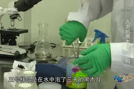 真相123：木耳炒鸡蛋咋就成了“绝命菜”？看完这组实验就知道了视频封面