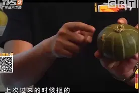 板栗南瓜又叫贝贝南瓜，口感软糯香甜，老少皆宜|我爱返寻味视频封面