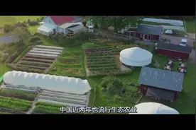 全球最美农场盘点：瑞典美如画的农场，怪不得瑞典农村农民收入高视频封面