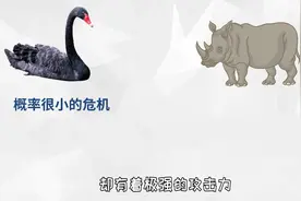黑天鹅 灰犀牛 伦敦鲸 经济中常见的名词到底啥意思 几个案例讲解视频封面