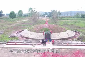 广西南宁横县谢氏千年祖山大旺人丁地形宝鸭下塘视频封面