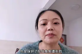 猛犸牙合法合规，听岩姐讲猛犸视频封面
