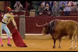 西班牙斗牛最后终极击杀公牛, 短剑精准击中公牛心脏视频封面