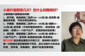 磷酸二氢钾怎么用？小麦叶面肥喷几次？什么是喷施最佳时期？视频封面