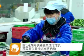 前5月湖南供港蔬菜成倍增长，蔬菜直供香港试点将启动视频封面
