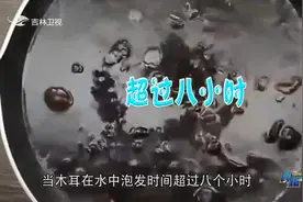 真相123：木耳泡发超8个小时就千万再别吃了，为啥？专家：会中毒视频封面