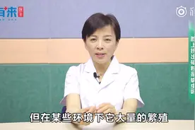 脸上挤出硬粒是螨虫吗？