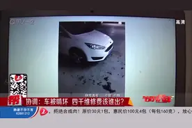 车停地库被流浪狗咬烂，业主向物业索赔被拒：没交车位管理费！视频封面