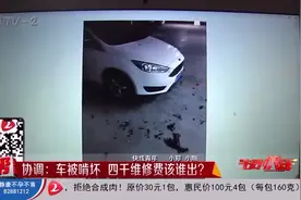 车停地库被流浪狗咬烂，业主向物业索赔被拒：没交车位管理费！视频封面