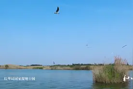沙漠明珠，人间净土——和田拉里昆国家湿地公园视频封面