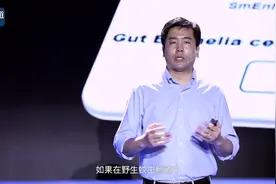 肠·道 | 程功：特定肠道细菌助纣为虐，增强蚊子传播病毒的能力