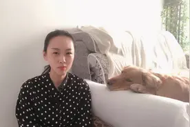 不要以为水果都可以给狗狗吃，这6种坚决不可以喂，会伤害狗狗！视频封面