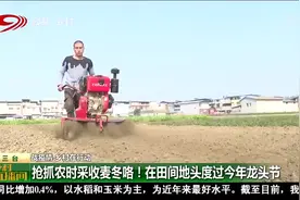 抓抢农时采收麦冬咯！在田间地头度过今年龙头节视频封面