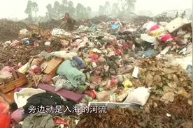 湛江这个垃圾中转站沦为摆设 街坊长期与垃圾为邻视频封面