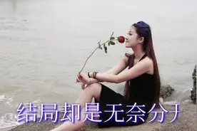 天籁中文金曲典藏《 爱已不在》