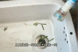 房东开始涨水费了！北京水费10块钱1吨？俩人就20块，有点离谱视频封面